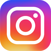 Instagram Button