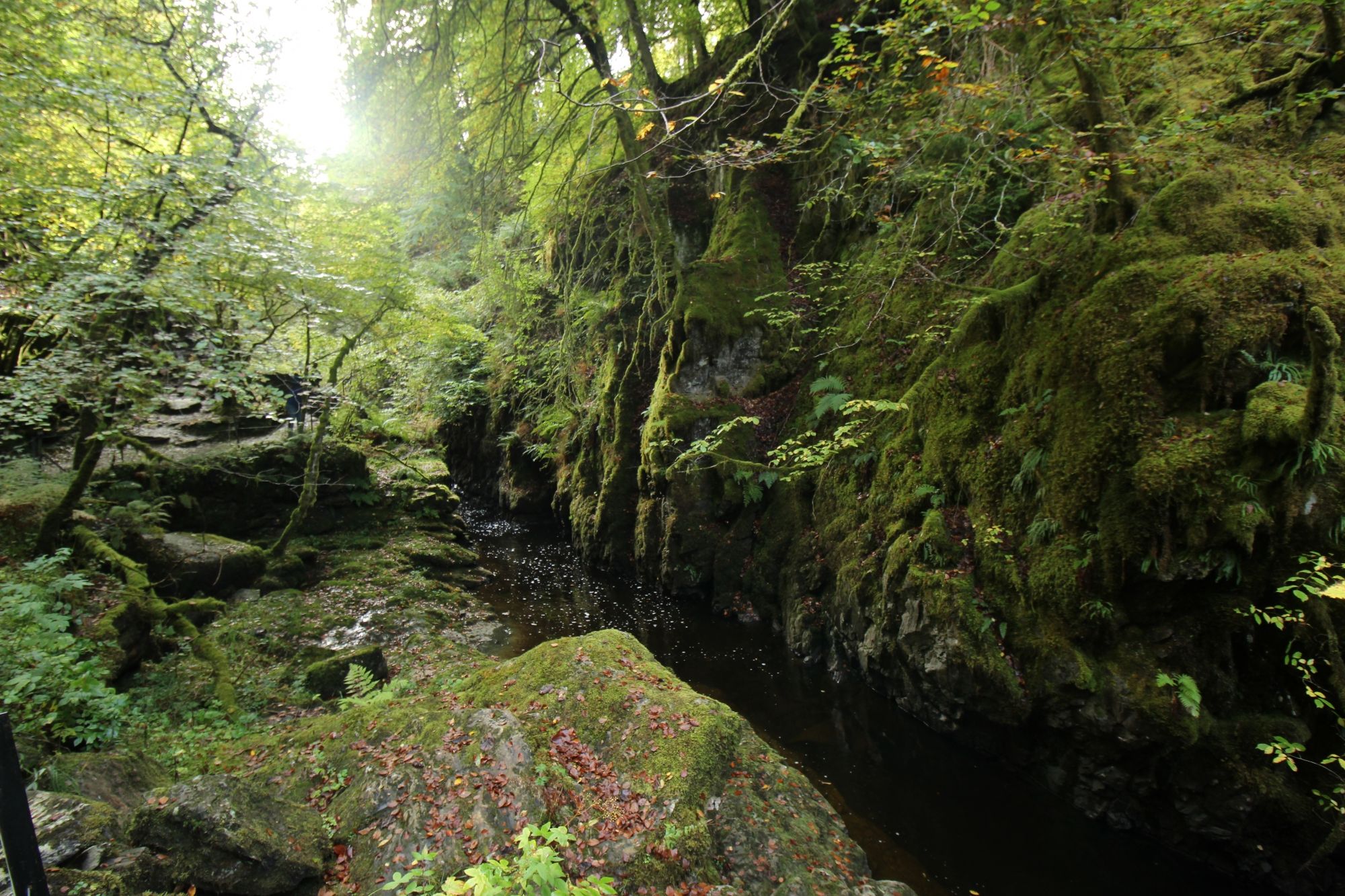 Birks of Aberfeldy