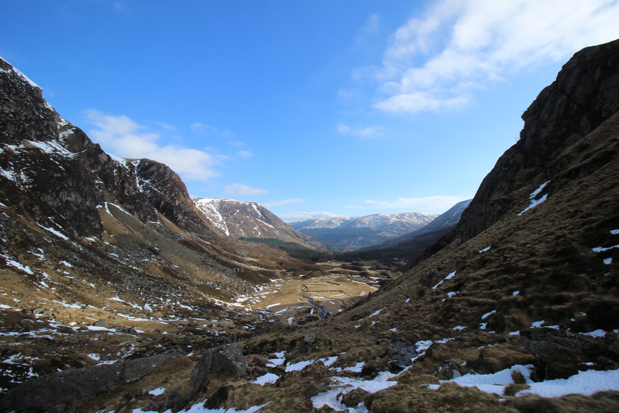 Corrie Fee