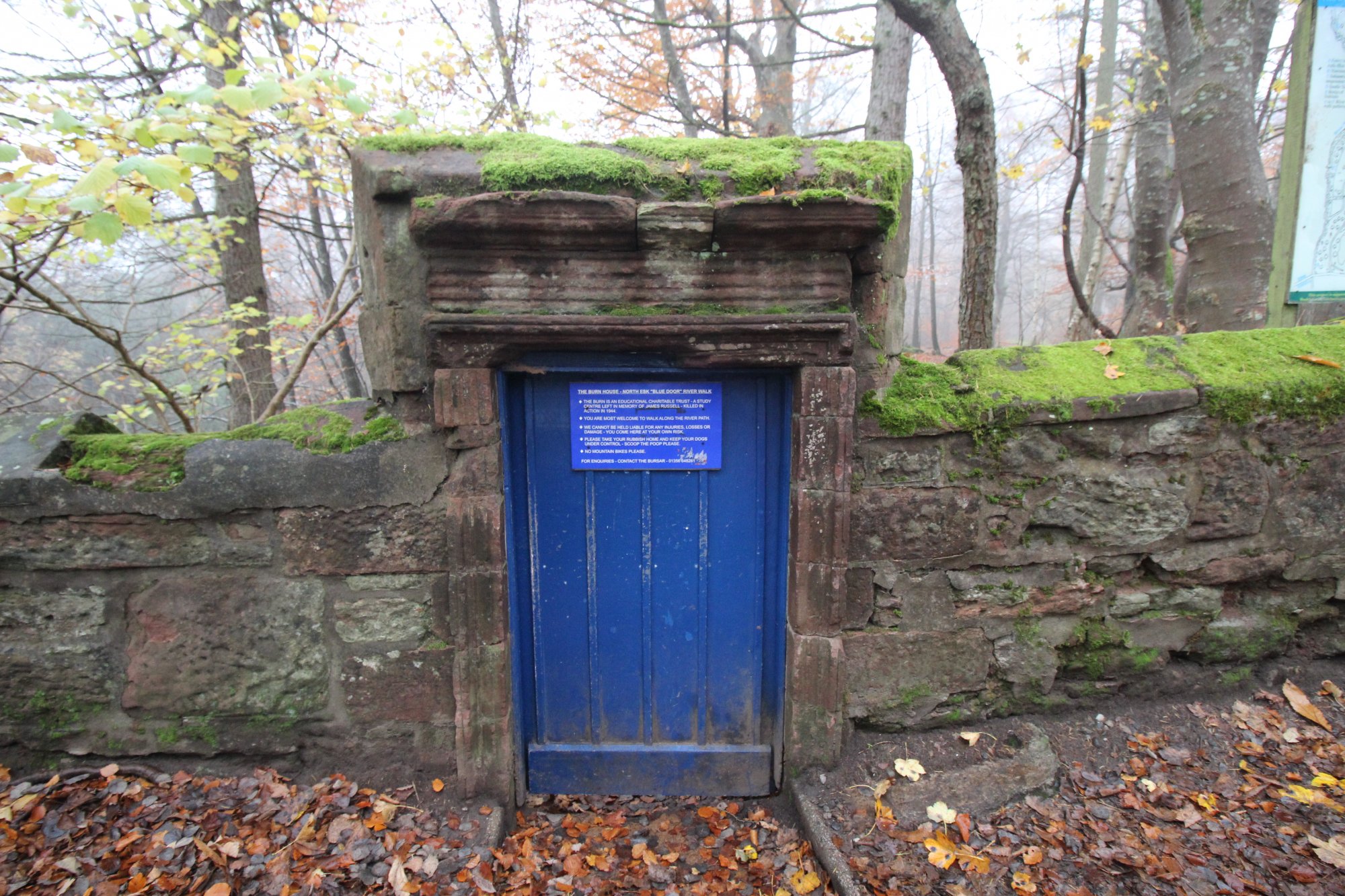 Blue Door Walk