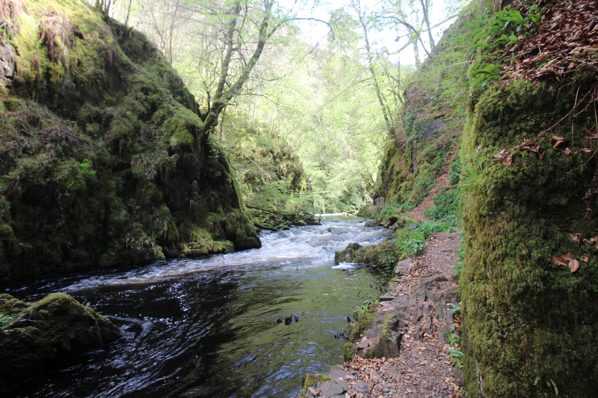 Ness Glen
