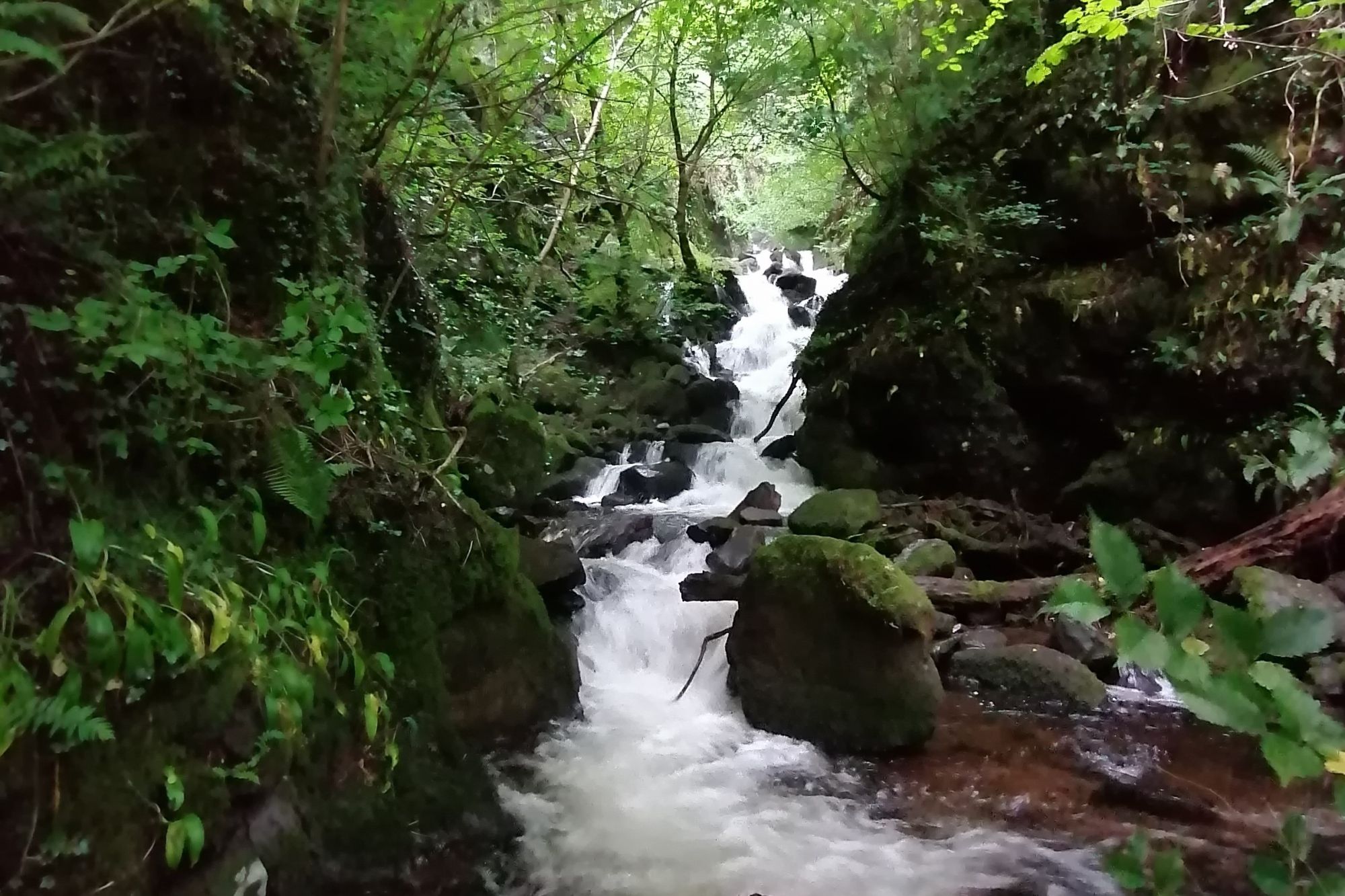 Dollar Glen