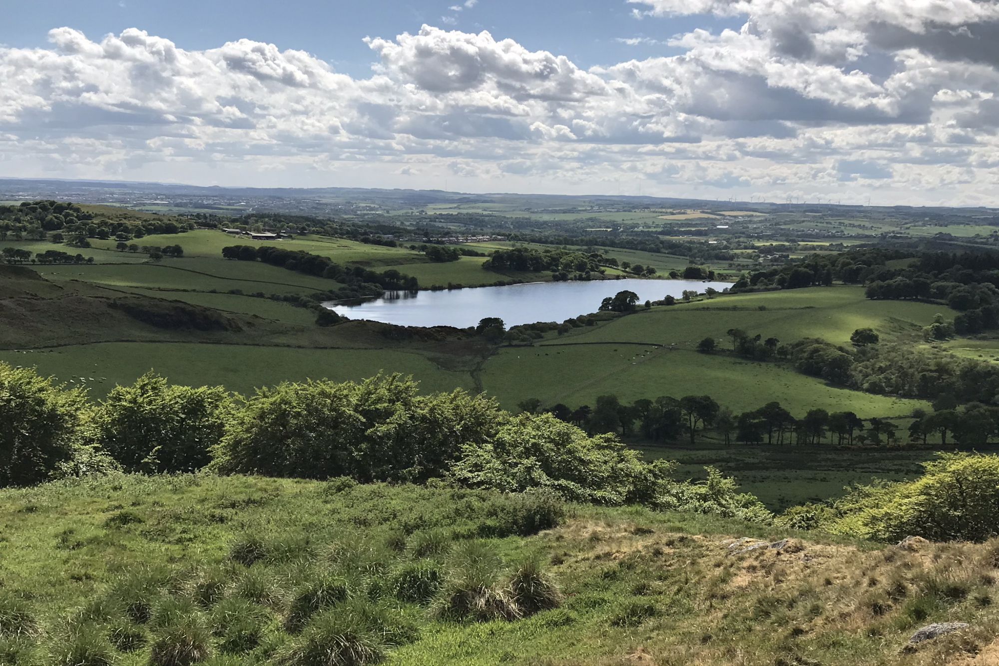 Cockleroy Hill