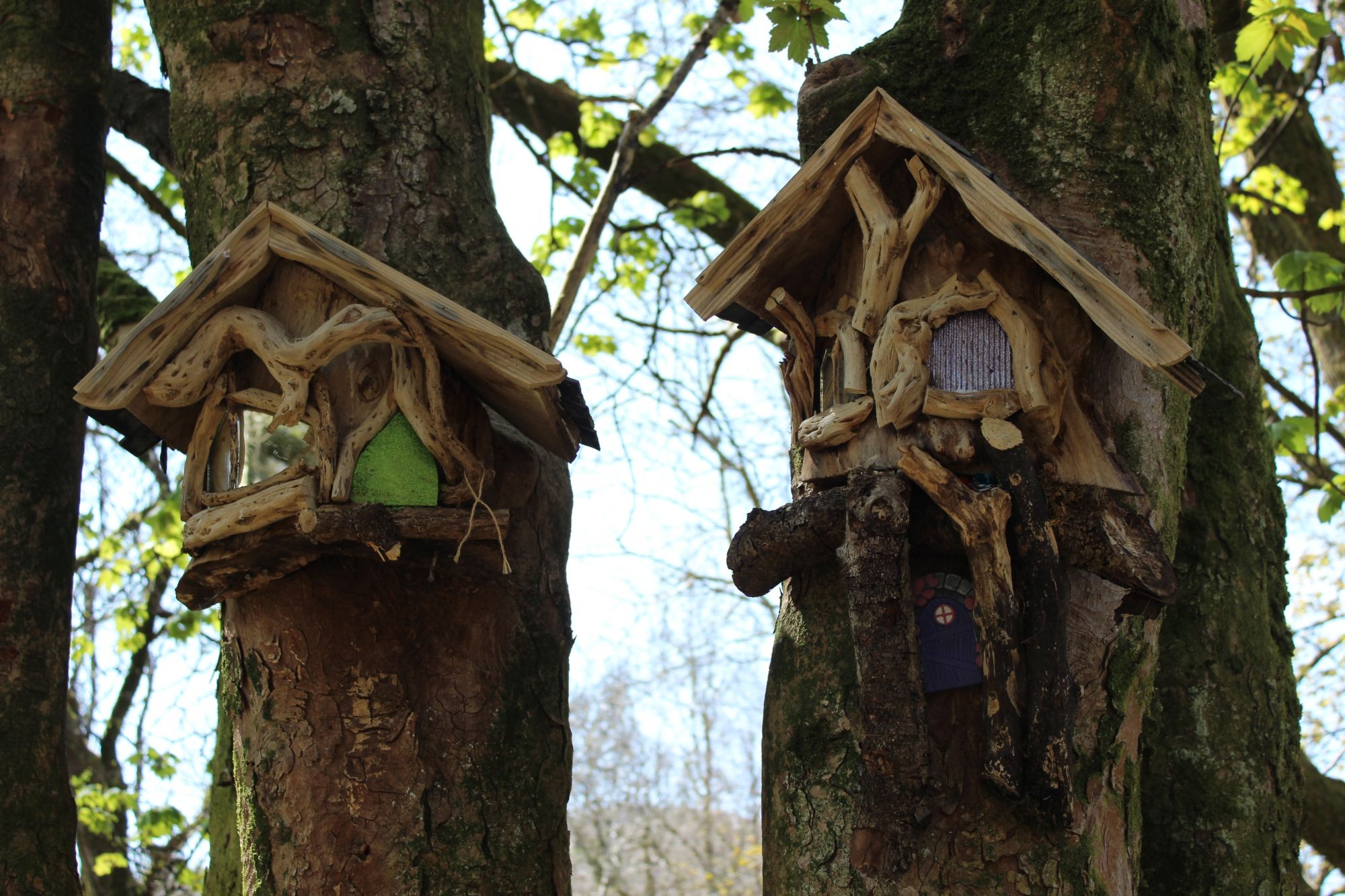 Fairy Trail in Luss
